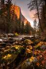 Fall along Merced River in Yosemite National Park-California Art Print